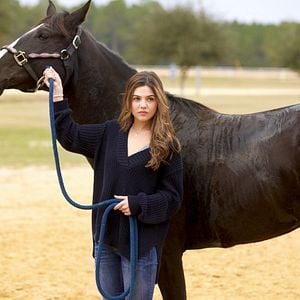 Foto Coragem Para Vencer