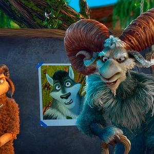 Foto Um Lobo em Pele de Cordeiro