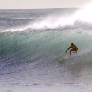 Foto Alegria De Verão