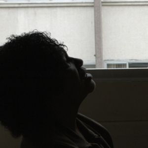 Foto Os Pássaros Estão Distraídos