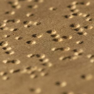 Foto Dorina - Olhar Para o Mundo