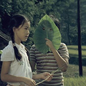 Foto A Grama Verde de Casa