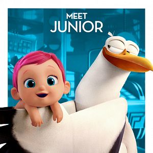 Foto Cegonhas - A História que Não te Contaram