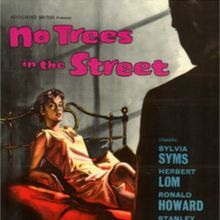 Foto No Trees in the street