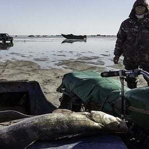 Foto Dreams of the Salt Lake