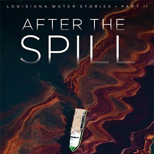 Foto Depois do Desastre