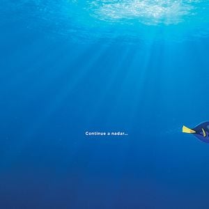 Foto Procurando Dory