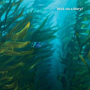 Foto Procurando Dory