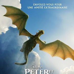 Foto Meu Amigo, O Dragão