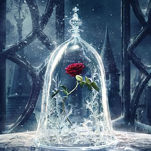 Foto A Bela e a Fera