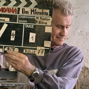 Foto Rudolf Thome – Flowers Everywhere