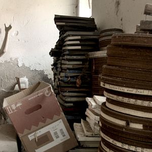 Foto Rudolf Thome – Flowers Everywhere