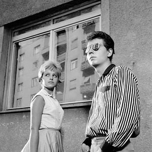 Foto The Sun in a Net