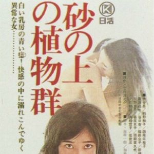 Foto Plantas das Dunas