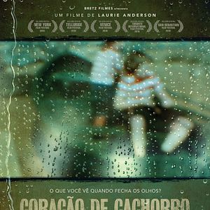 Foto Coração de Cachorro