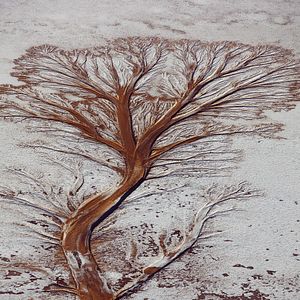 Foto Humano - Uma Viagem Pela Vida