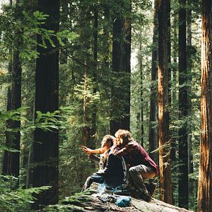 Foto Um Cadáver Para Sobreviver