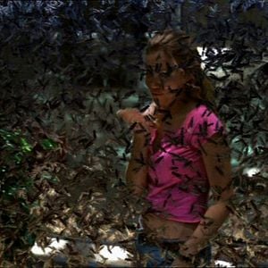 Foto Locusts - O Dia da Destruição