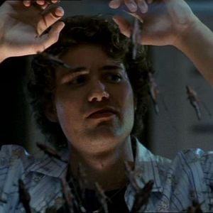 Foto Locusts - O Dia da Destruição