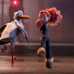 Foto Cegonhas - A História que Não te Contaram