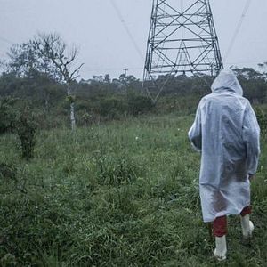 Foto A Destruição de Bernardet