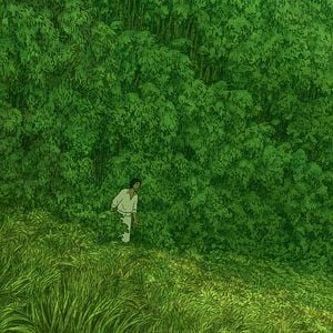 Foto A Tartaruga Vermelha