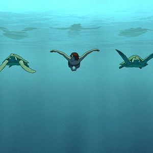 Foto A Tartaruga Vermelha