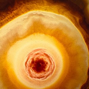 Foto Voyage of Time: Life's Journey