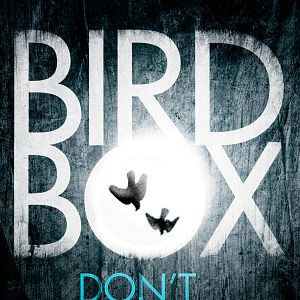 Foto Caixa de Pássaros