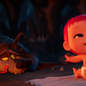 Foto Cegonhas - A História que Não te Contaram