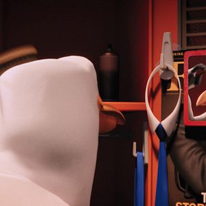 Foto Cegonhas - A História que Não te Contaram