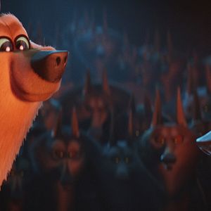 Foto Cegonhas - A História que Não te Contaram