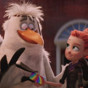 Foto Cegonhas - A História que Não te Contaram