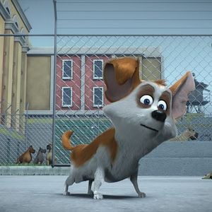 Foto As Aventuras de Ozzy