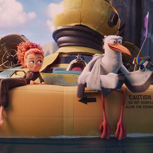 Foto Cegonhas - A História que Não te Contaram