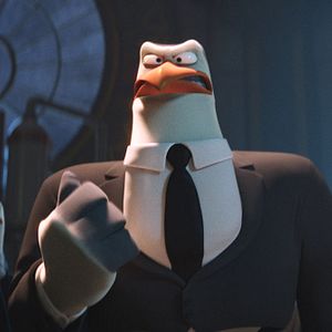 Foto Cegonhas - A História que Não te Contaram