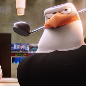 Foto Cegonhas - A História que Não te Contaram