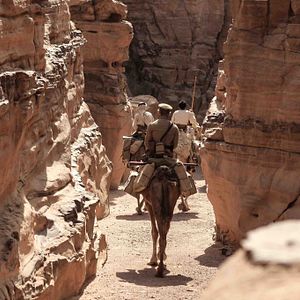 Foto O Lobo do Deserto