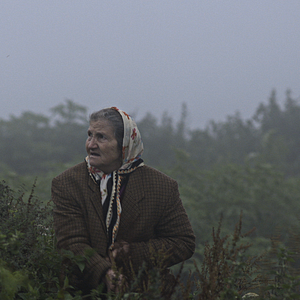 Foto Cold of Kalandar