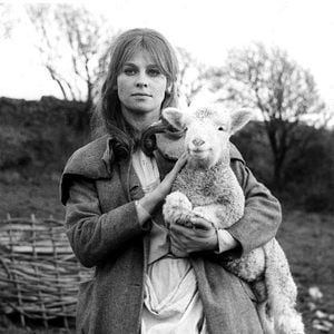 Foto Longe Deste Insensato Mundo