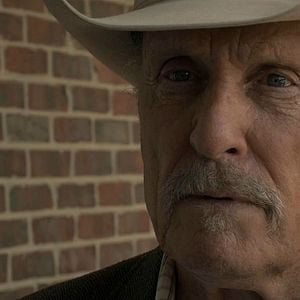 Foto Cavalos Selvagens