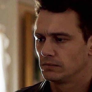 Foto Cavalos Selvagens