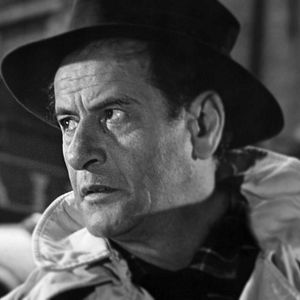 Foto Um Tigre de Alcova