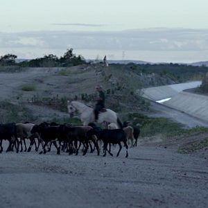 Foto Super Orquestra Arcoverdense de Ritmos Americanos