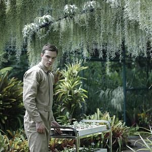 Foto Quando Te Conheci