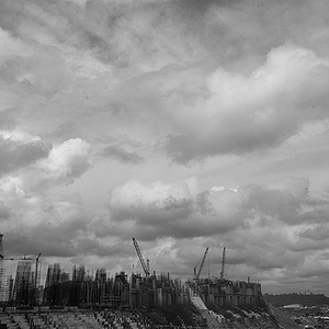 Foto O Jabuti e a Anta﻿