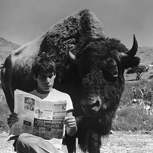 Foto Abençoai as Feras e as Crianças