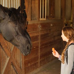 Foto Meu Melhor Amigo