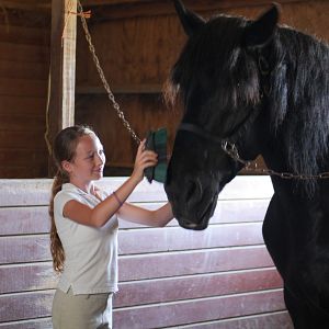 Foto Meu Melhor Amigo