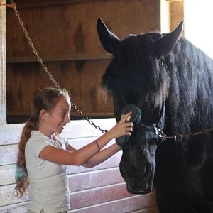 Foto Meu Melhor Amigo